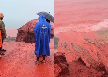 semelhante-a-praga-biblica,-mar-fica-cor-de-sangue-em-praia-no-ira